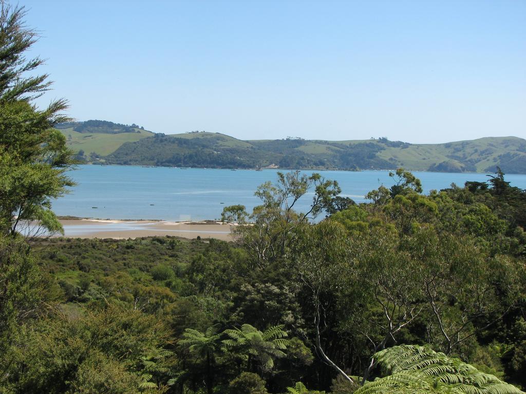 Studio 531 Coromandel Стая снимка
